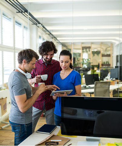 expert seo team